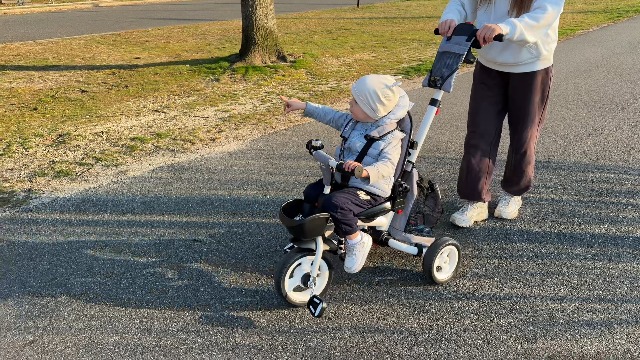Amazon.com: JMMD 8 in 1 Tricycle Stroller with Push Handle