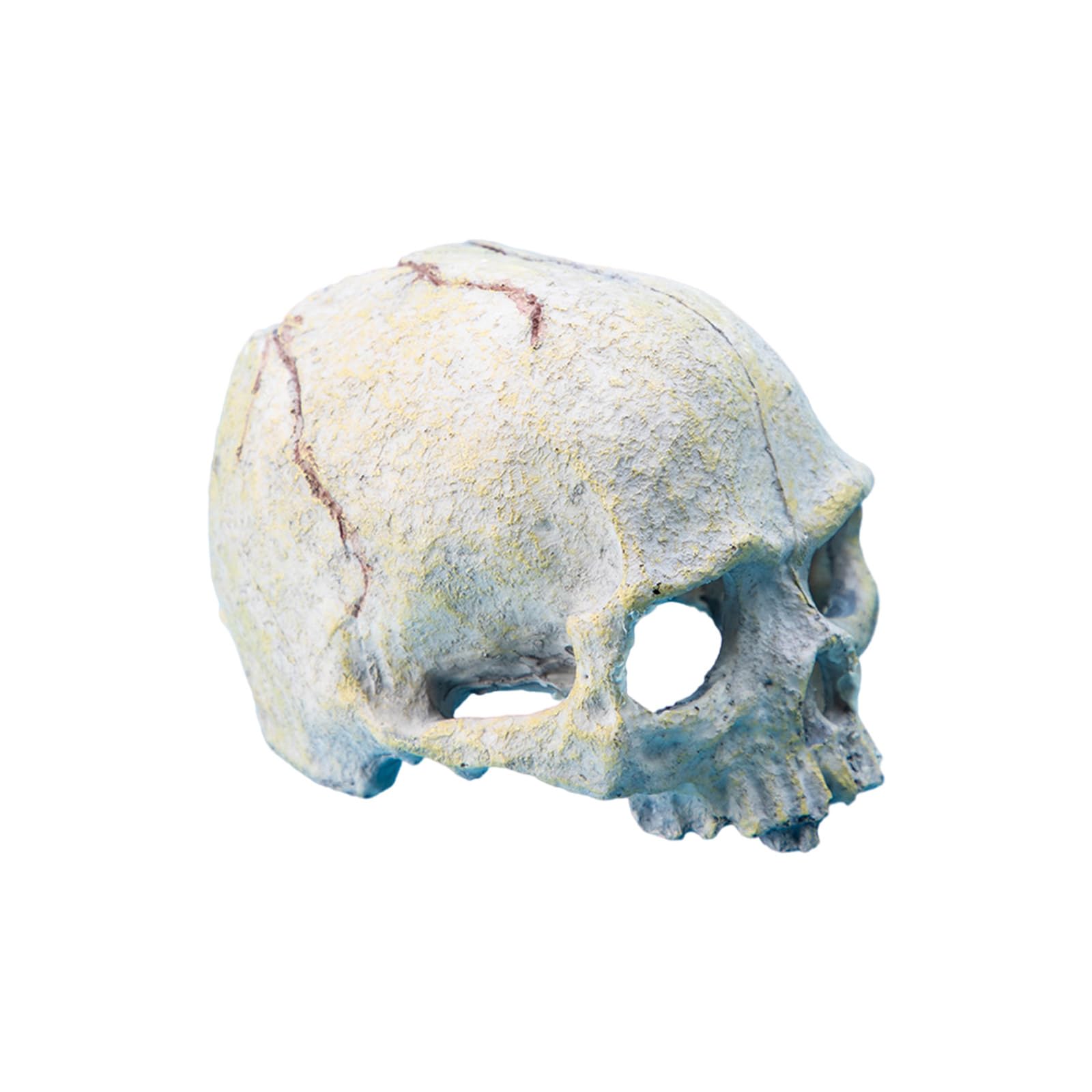 FackLOxc Skull Head Figurine Statue Reptiles Fish Amphibians Hideouts Cave Shelter Aquariums and Terrariums Landscape Decoration Resin Skull Head Decors for Aquariums