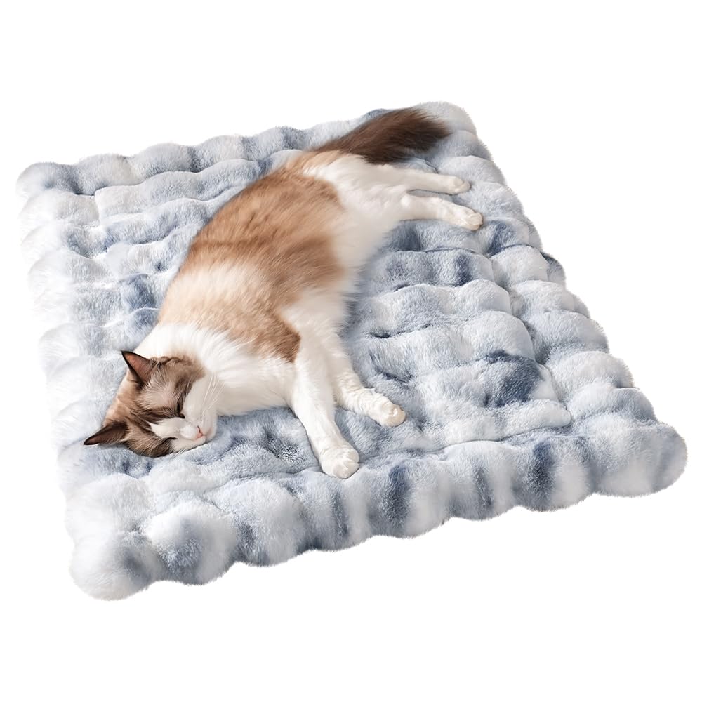 SOMAHE Cat Bed Ultra Soft Plush Machine Washable Pet Mat with Non-Slip Rubber Bottom for Indoor Cats & Dogs Faux Fur Cushion Pad for Floor Couch Carrier for Kittens & Puppies 23 x 15 Inch Medium Blue