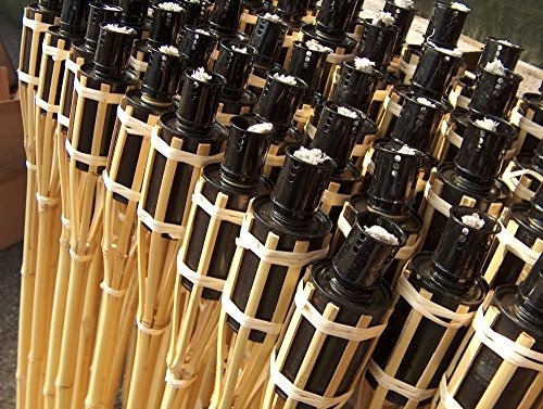 16 x jardín Antorchas de jardín (bambú, Iapyx®