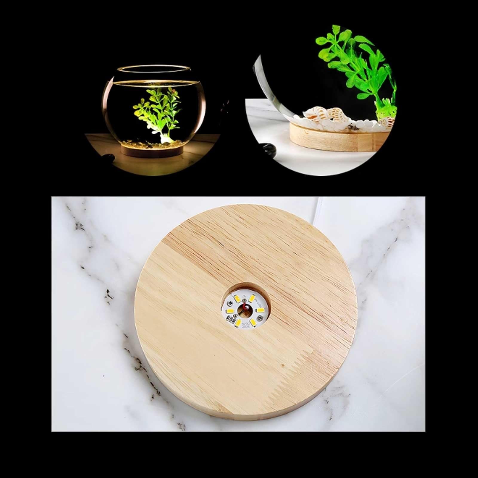 Terrarium Verdicktes transparentes Glas Aquarium Desktop Runde Goldfisch Aquarium Wohnzimmer Desktop Dekorative Aquarium Ornamente Insekten Schildkröten(25cmx20cm)