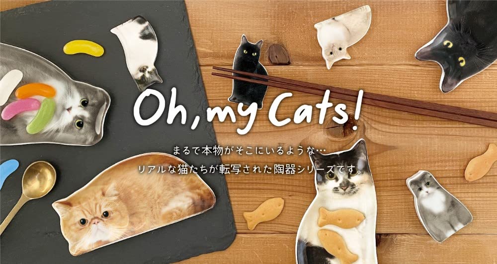 Amazon｜デコレコーポレーション Oh my cats! リアルキャット豆皿 豆皿