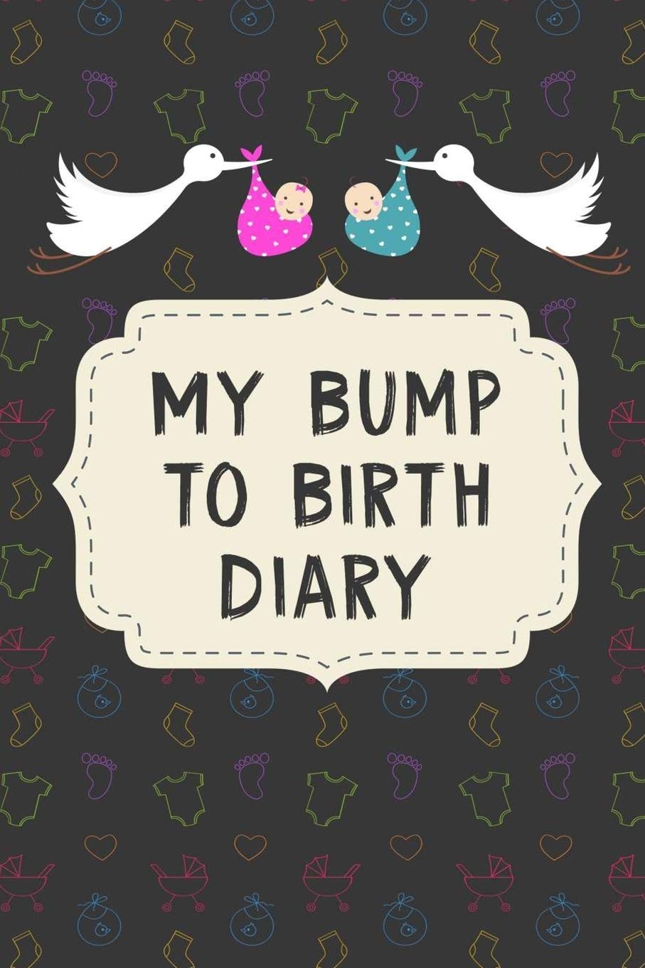 My Bump to Birth Diary Pregnancy journal book gift for first time moms
