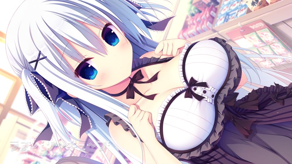 ラズベリーキューブ 初回限定特装版 - Switch (【特典】B2タペストリー  