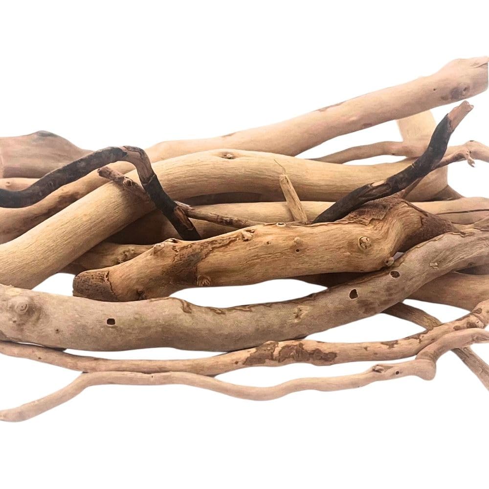 AquaOne Aquarium Moorkien Scape Sticks 100 g (10-25 cm) I Naturholz für Aquascaping & Aquarium Dekoration I Nano Becken Aquarien Terrarien Hardscape Zubehör