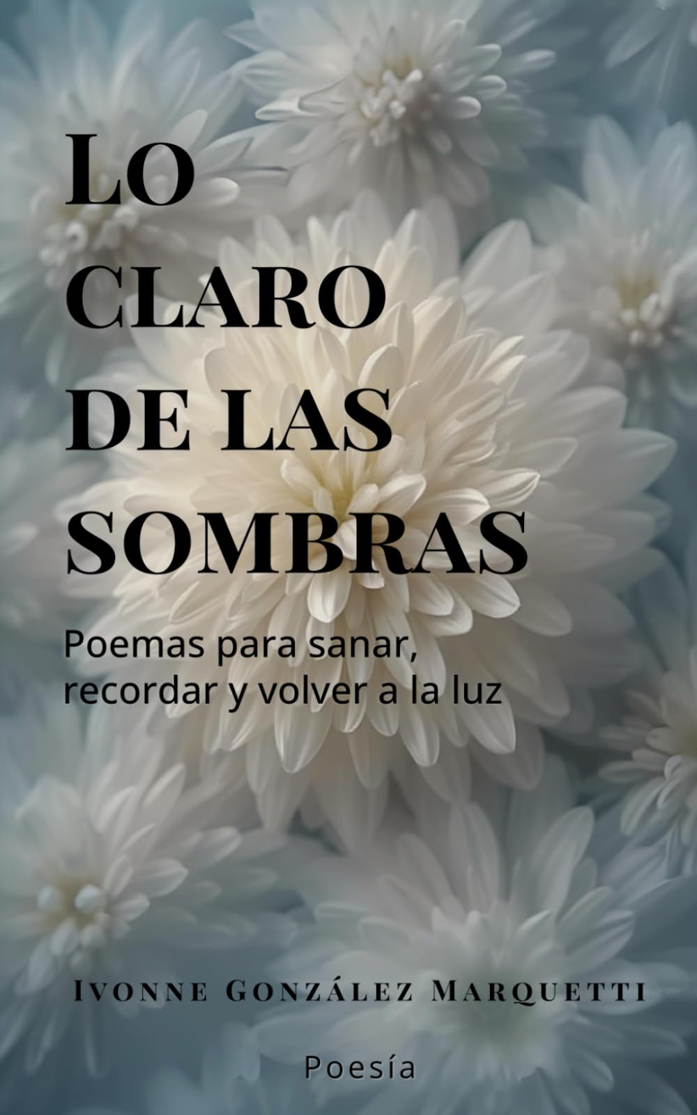 Lo claro de las sombras