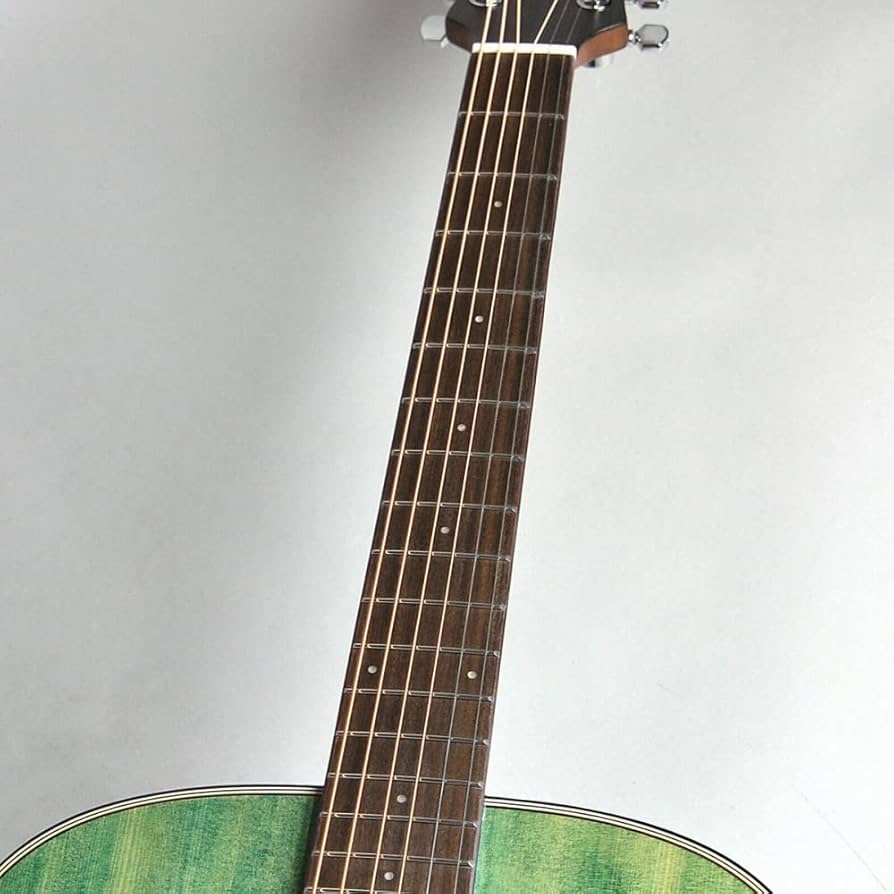 Amazon | Zemaitis ゼマイティス エレアコギター CAG-100HS-E