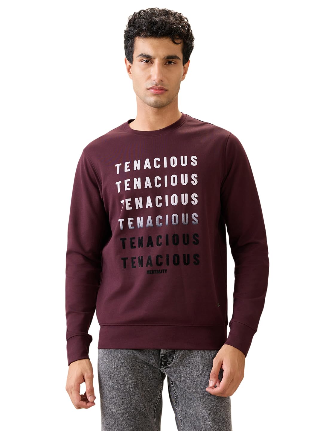 Men Full Sleeve Regular Fit Graphic Pattern Cotton Polyester Lycra Blend Round Neck Round Neck Casual Sweatshirt-image-23