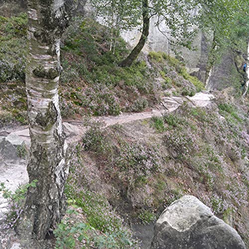 Geister und Gespr&auml;che cover art