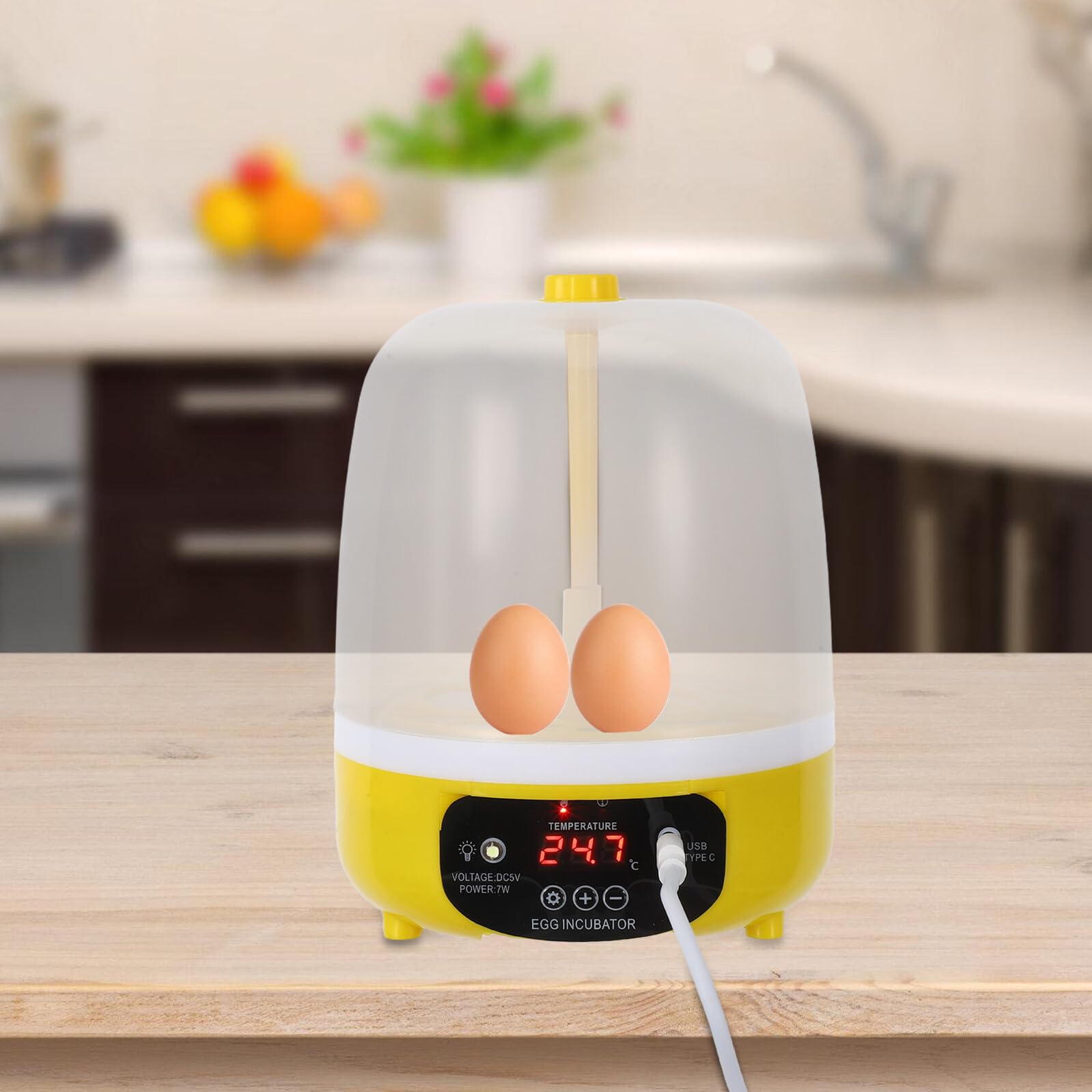 Abaodam Incubatrice Intelligente Per Uova Incubatrice Per Uova Di Gallina Piccole Incubatrici Per