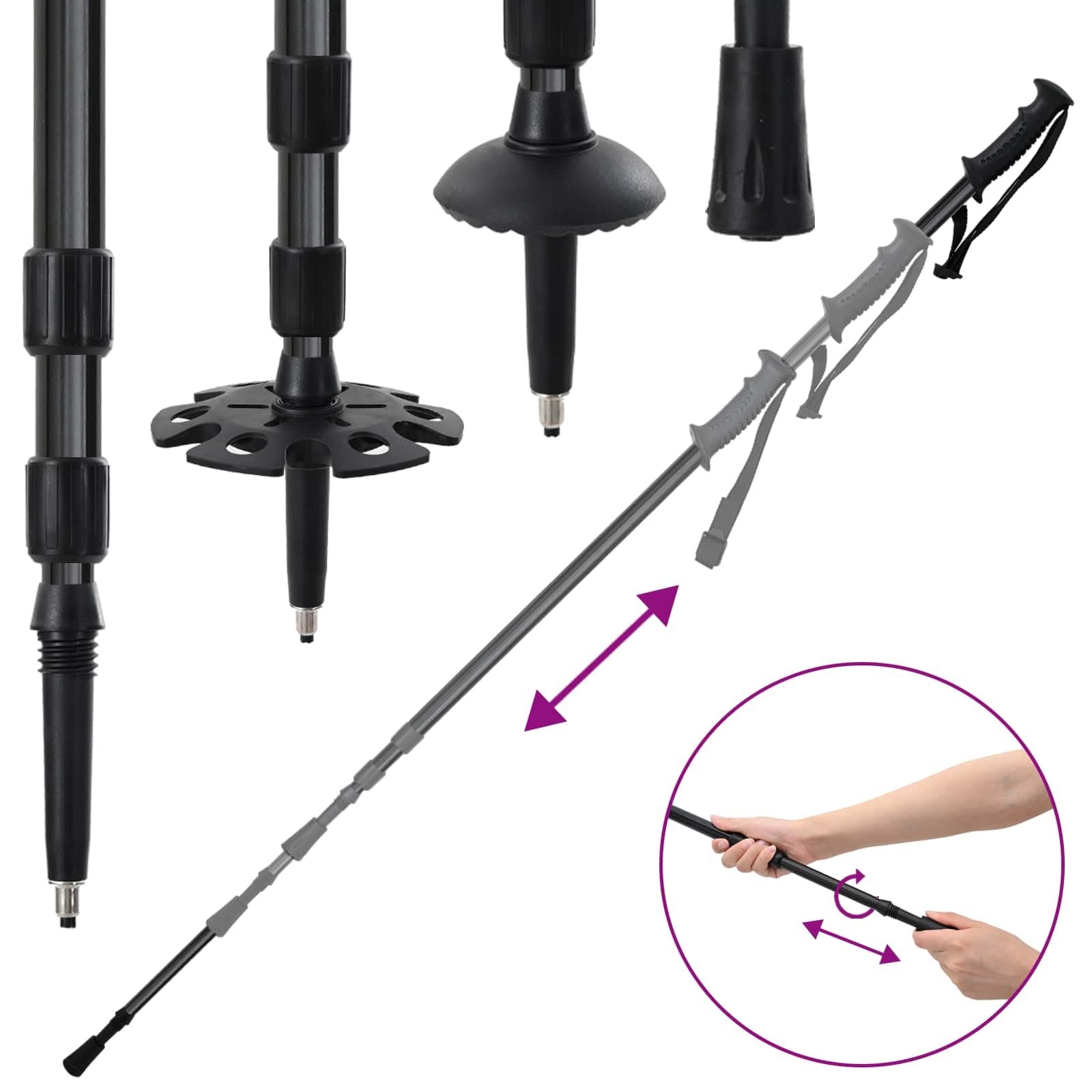 vidaXL Racchette da Neve 3 in 1 con bastoni da Trekking Blu e Nero, Ciaspole in Alluminio per Il Giardino, Attrezzatura Outdoor Regolabile, Accessori Moderni per Camminare sulla Neve