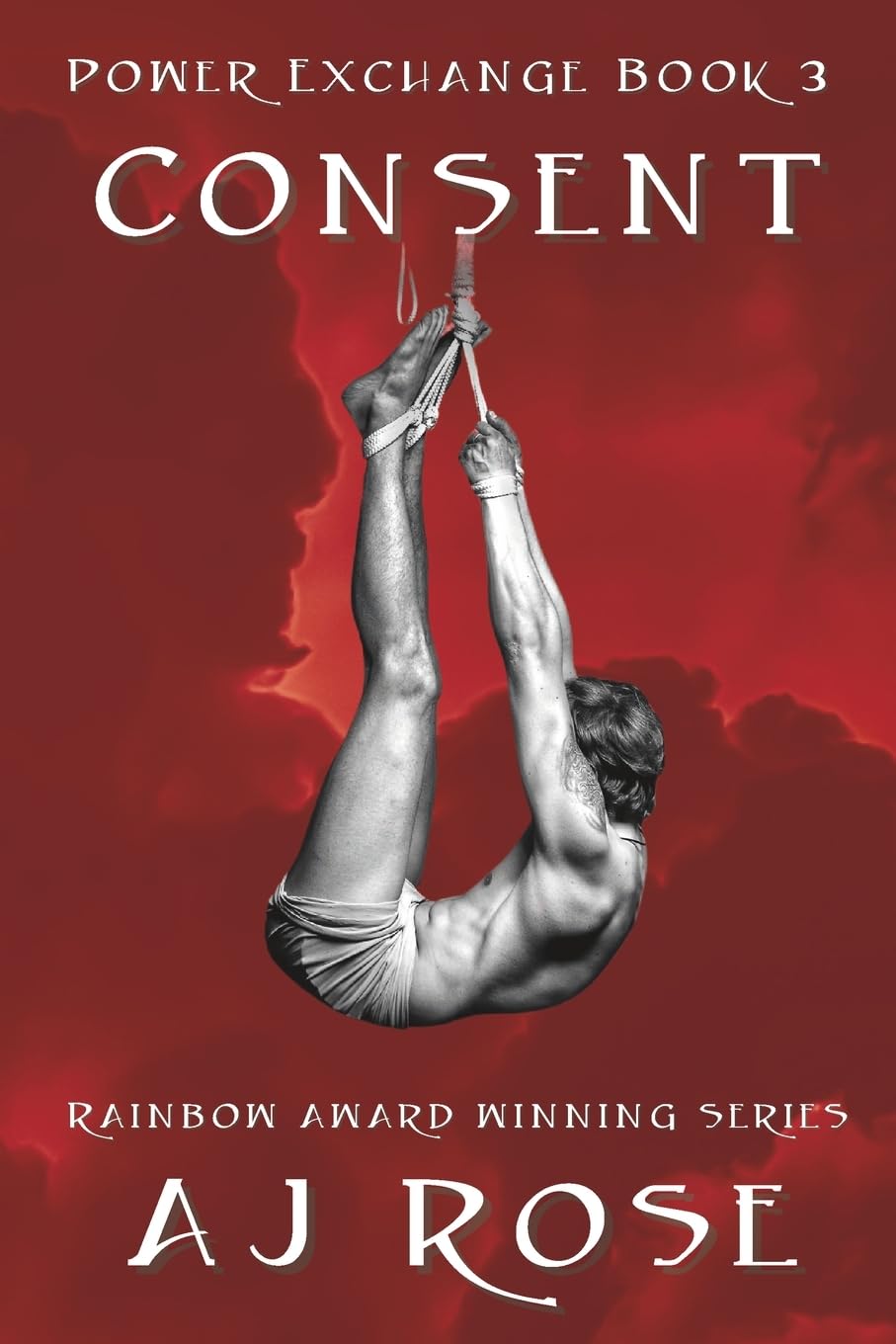 Consent: Volume 3 (Power Exchange)