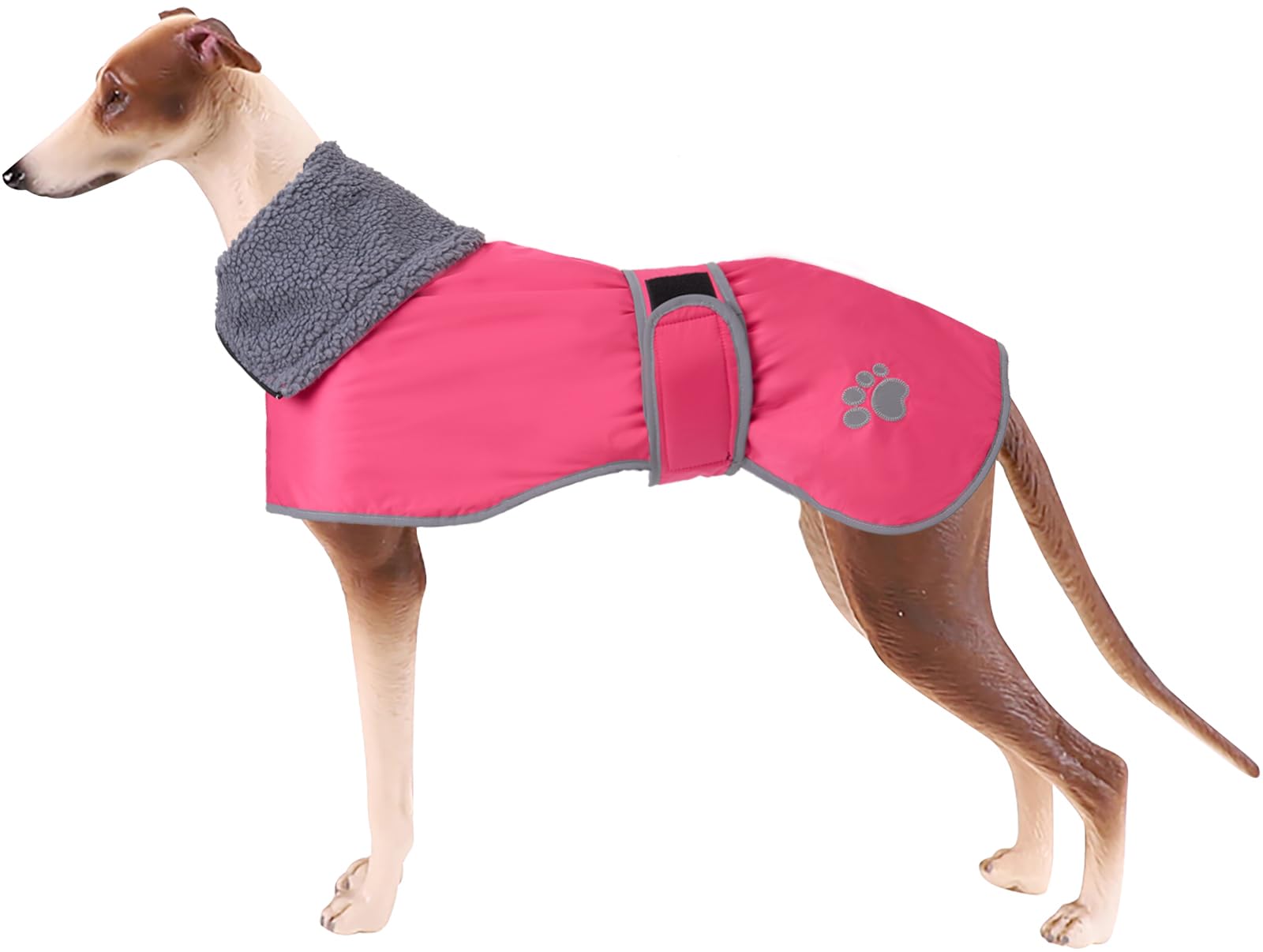 All season winterjas met lange col - Galgo Project
