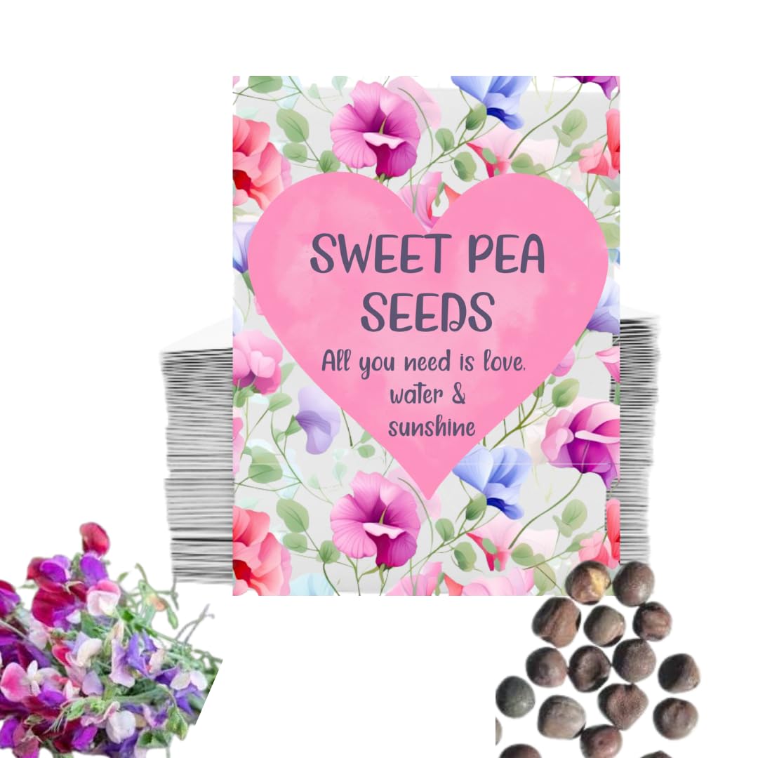 50 Sweet Pea Seed Party Favours Party Decorations Party Bags Wedding Favours Birthday Decoration Baby Shower Christening Garden Party Teacher Gifts Class Gifts Hen Do Retirement Thank You Graduation โ image 1