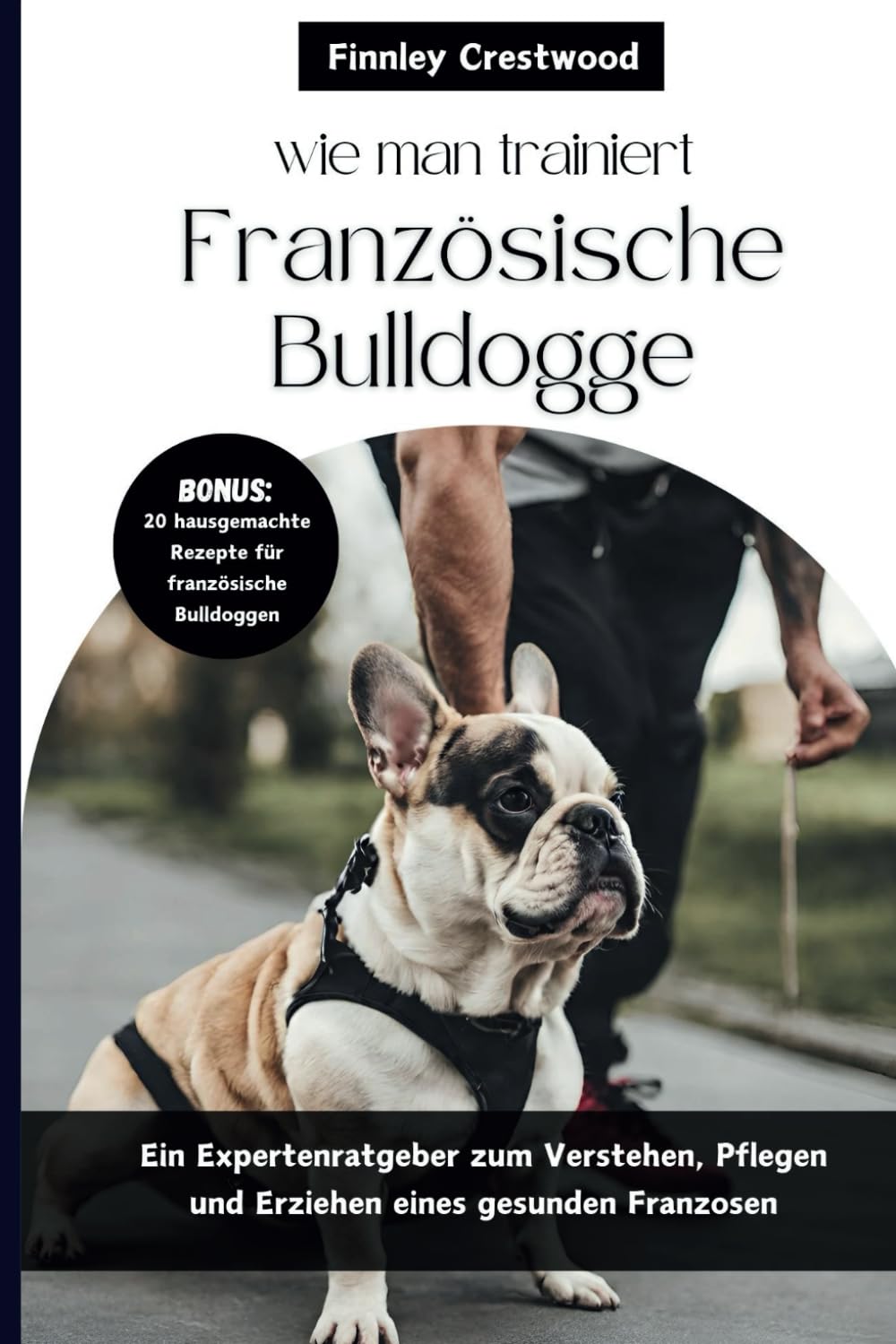 wie man trainiert Französische Bulldogge: Ein Expertenratgeber zum Verstehen, Pflegen und Erziehen eines gesunden Franzosen