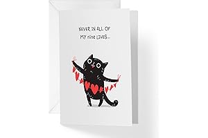 Valentines Day Cat Cards: Find A Love Like Yours