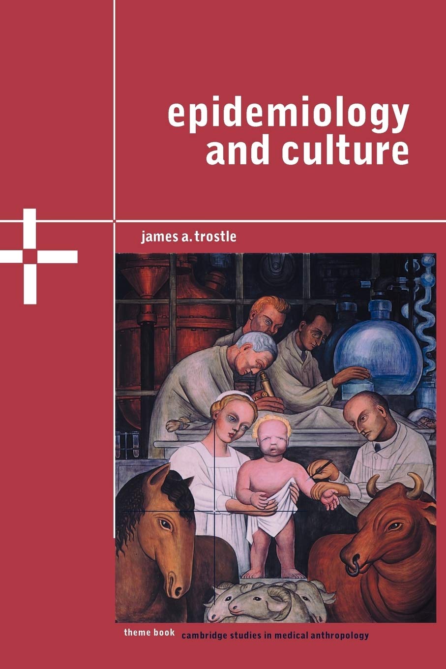 Epidemiology and Culture: 13 (Cambridge Studies in Medical Anthropology, Series Number 13)