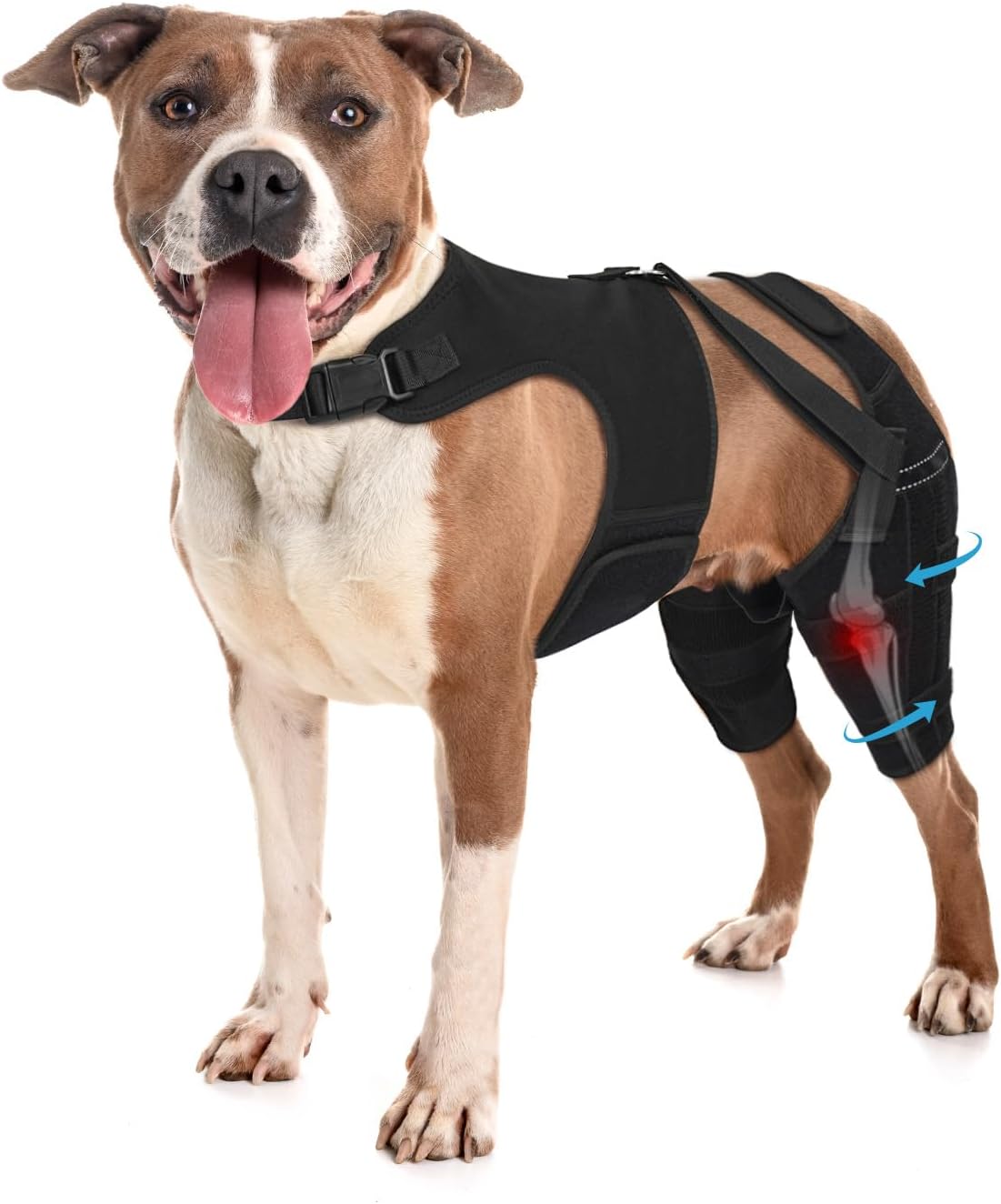 Dog Knee Brace for Torn ACL Hind Leg, Adjustable Dog Leg Braces for Back Leg with 4 Metal Stabilizers Helps with Torn CCL, Luxating Patella, Ligament Injuries, Hip Dysplasia, L
