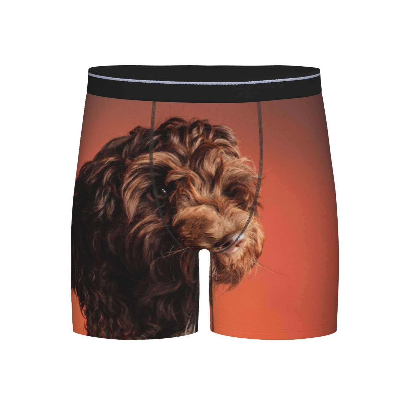 Poadnly Adorable Cockapoo Dog,Mens Boxer Briefs Novelty Underwear Soft Polyester Underpants,M