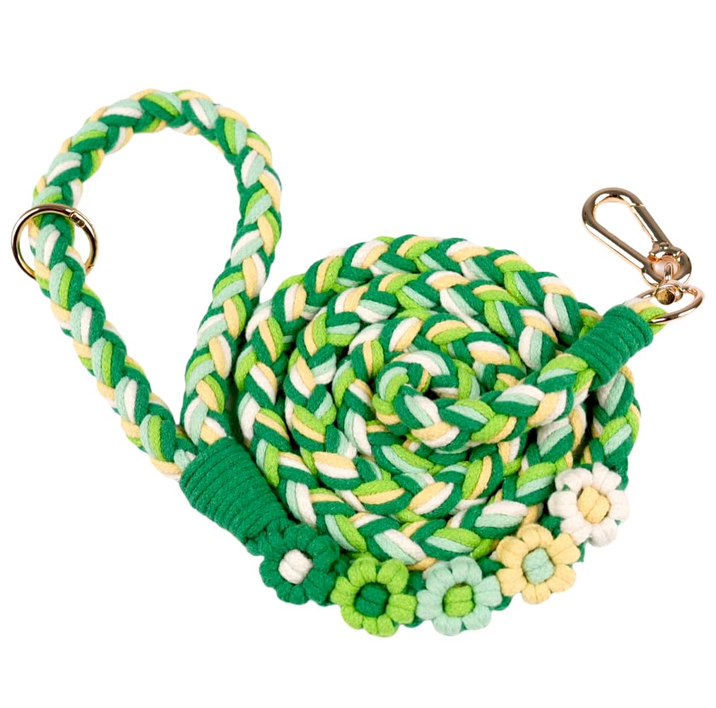 5FT Braided Cotton Rope Leash for Small, Medium and Large Dogs, Mint Meadow