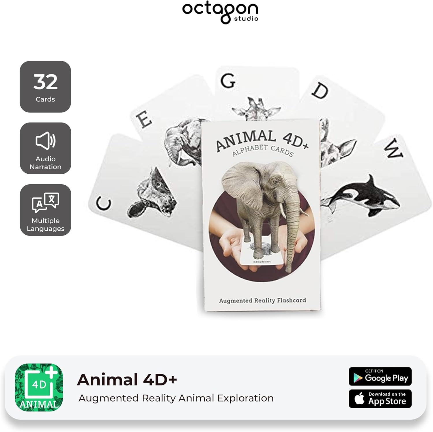 Animal 4D+ フラッシュカードバンドル 内容：5枚の食べ物カード 6枚の動物カード