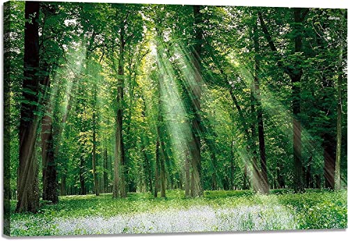 絵画 壁画の風景画 自然 森 緑 太陽 夏 枝下 林間 グリーン キャンバスピクチャーホームデコレーションポスター 額装する準備ができて(木枠付きの完成品) (森林 絵画風06, 30x40cmx1枚)