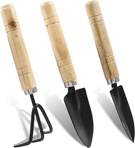 Miniatura 5 de Waziaqoc 6 piezas de mini herramientas de jardinería, pala de mano para jardinería pala rastrillo para plantas de casa e interior