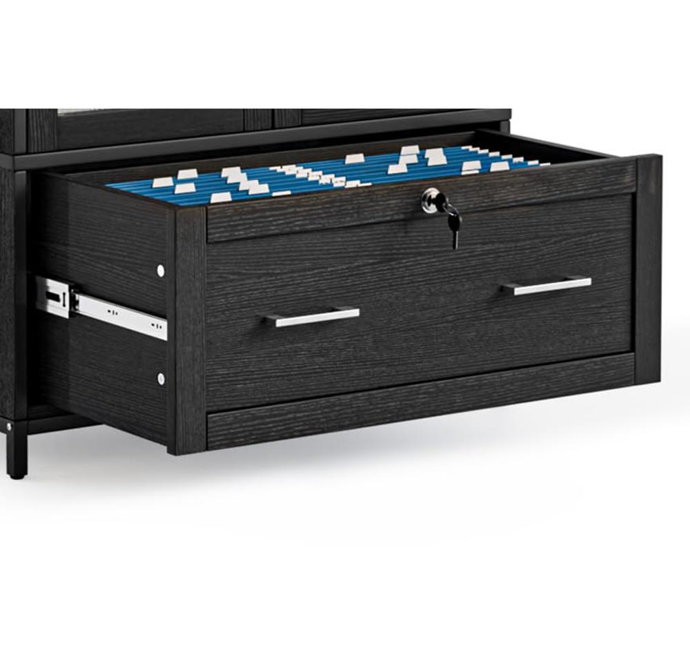 リリー・ヴァン・デル・ストッカーのモノグラフFriends and Family Amazon.com: VINGLI Lateral File Cabinet with Glass Doors and