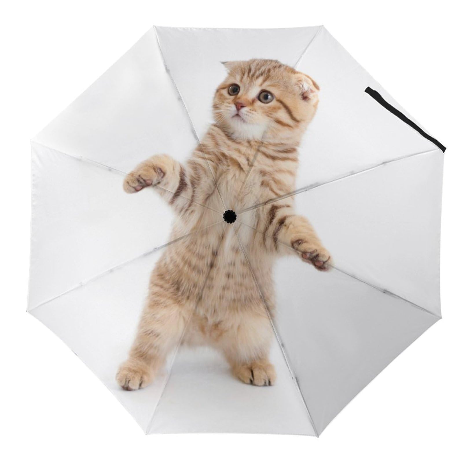 Parapluie pliant automatique crâne robuste face aux intempéries - 8