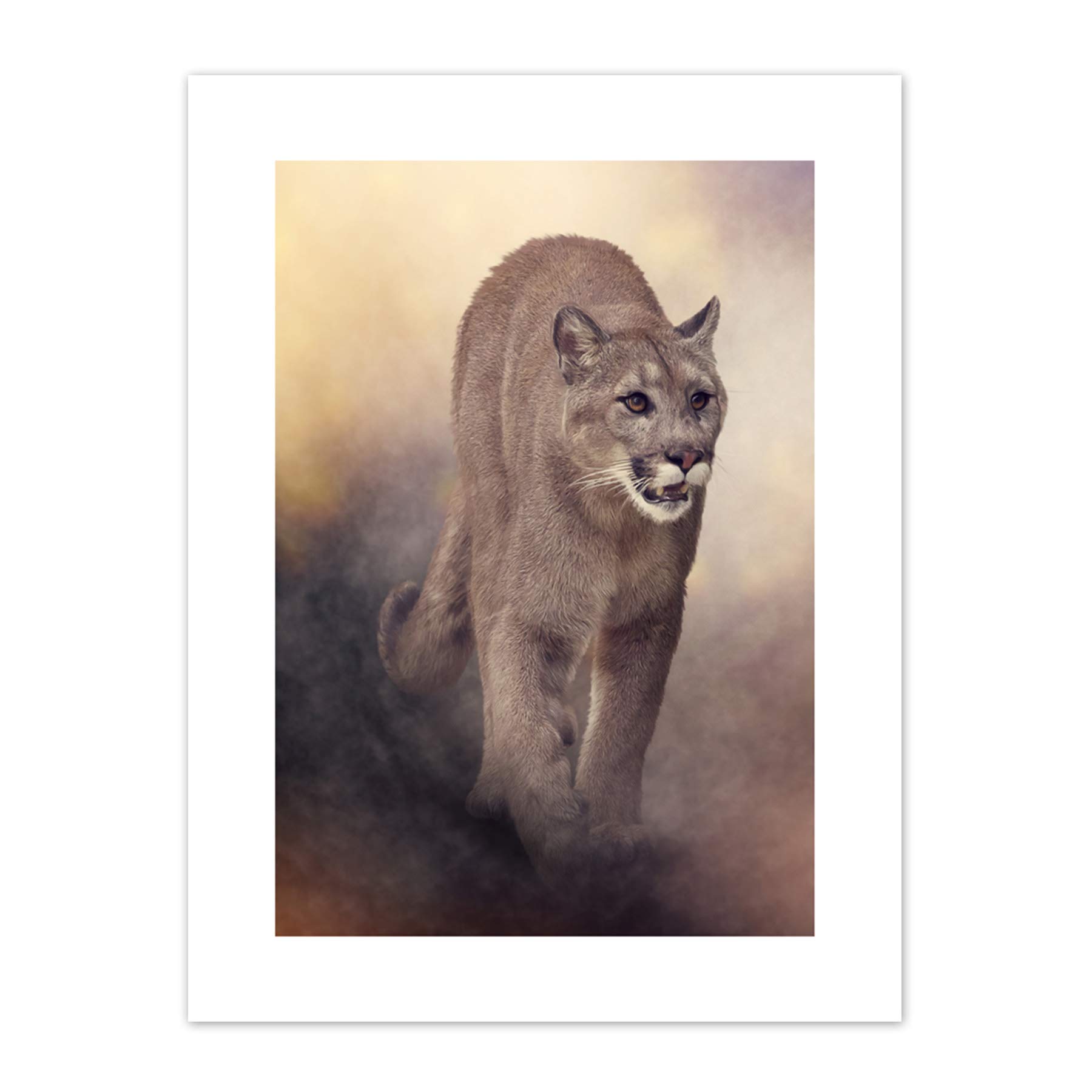 Wee Blue Coo Mountain Lion Cougar Illustration Art Print Canvas Premium Wall Decor Poster