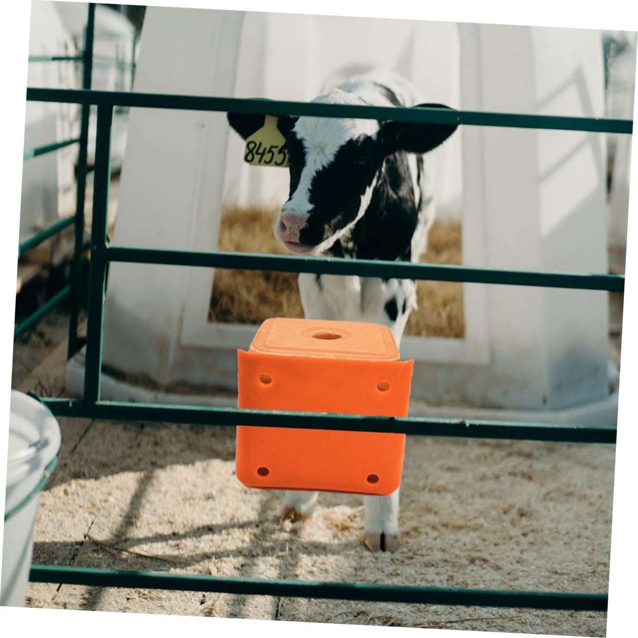 Mipcase Support Plusieurs styles pour Alimentation du Bétail en Extérieur Plusieurs styles en PE Épais 2 Pièces Fond Antidérapant et Structure Robuste pour Bloc Minéral pour Moutons