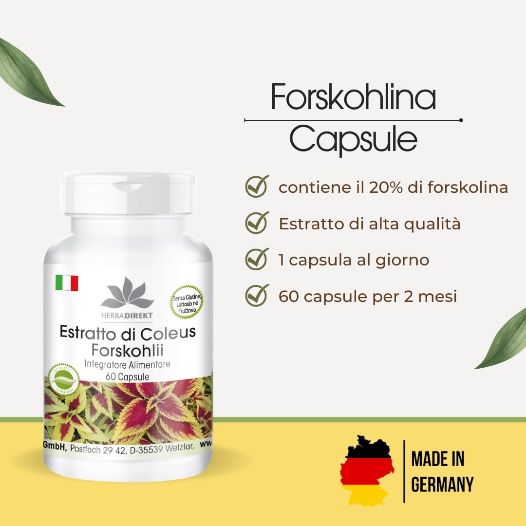 Coleus Forskohlina integratore - Estratto - con 10mg di Forskolin - 60 Capsule | HERBADIREKT by Warnke Vitalstoffe - Qualità da farmacia tedesca