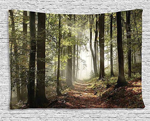 Ambesonne Forest Tapestry, Autumnal Woodland Pathway Mountains Mist in The Distance Wilderness Scene, Wide Wall Hanging for Bedroom Living Room Dorm, 80" X 60", Redwood