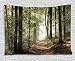 Ambesonne Farm House Decor Collection, Autumnal Forest Pathway in the Mountains With Mist in the Distance Wilderness Scene, Bedroom Living Room Dorm Wall Hanging Tapestry, 80W X 60L Inch, Green Brown