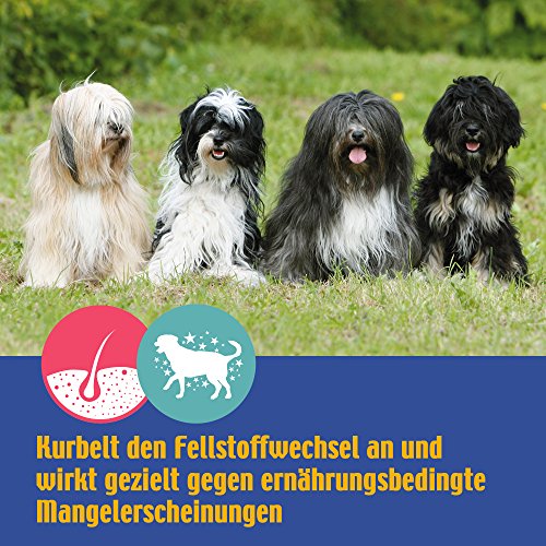 Nutrizeutikum 100 ml Biotin Konzentrat - Die Rettung für Vierbeiner mit Haut- und Fellproblemen