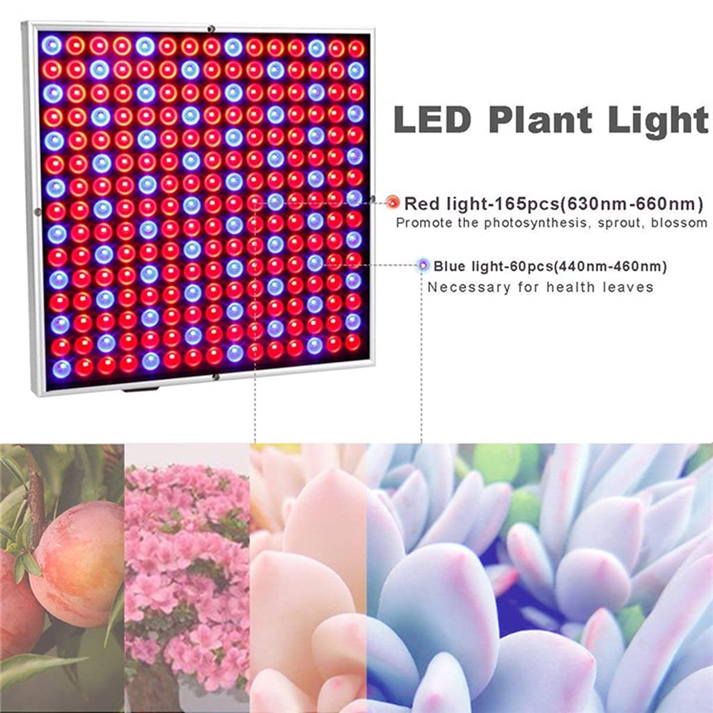 Luces de Cultivo LED para Plantas de Interior,Luces de Planta de Espectro Completo,Lámpara de Cultivo de Panel de 45W,para Plántulas de Invernadero Hidropónico