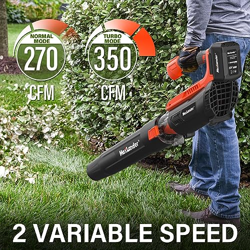 Maxlander Cordless 20V 12 Inch Weed Wacker and Leaf Blower Combo Kit. Battery and Charger Included