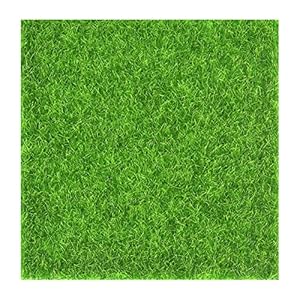 Premium kunstgras 3x2m 2.5~3 cm Dikte Anti-UV Permeabele grastapijt Kunstgras Turf gazon huisdier gras voor Outdoor En…