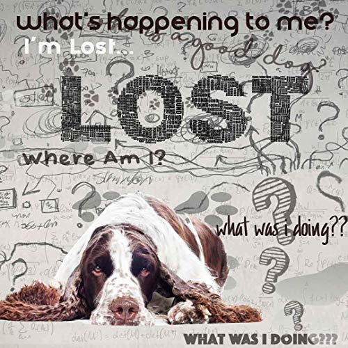 Image of The Blissful Dog Springer Spaniel Age Well Dog Aromatherapy Roll-On Bottle for Your Dog's Peaceful Ageing