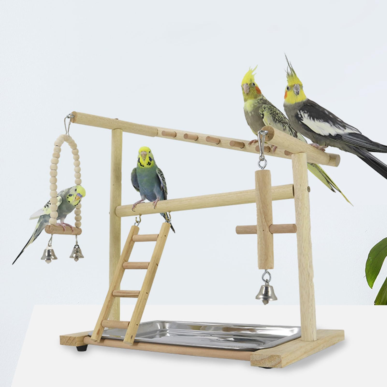 Aire de Jeux pour Oiseaux Balançoires Échelles en Bois | avec Plateau et Godet Amovibles Acier Inoxydable Perchoir Bois pour Perrochet Pour Station Debout Mastication Escalade