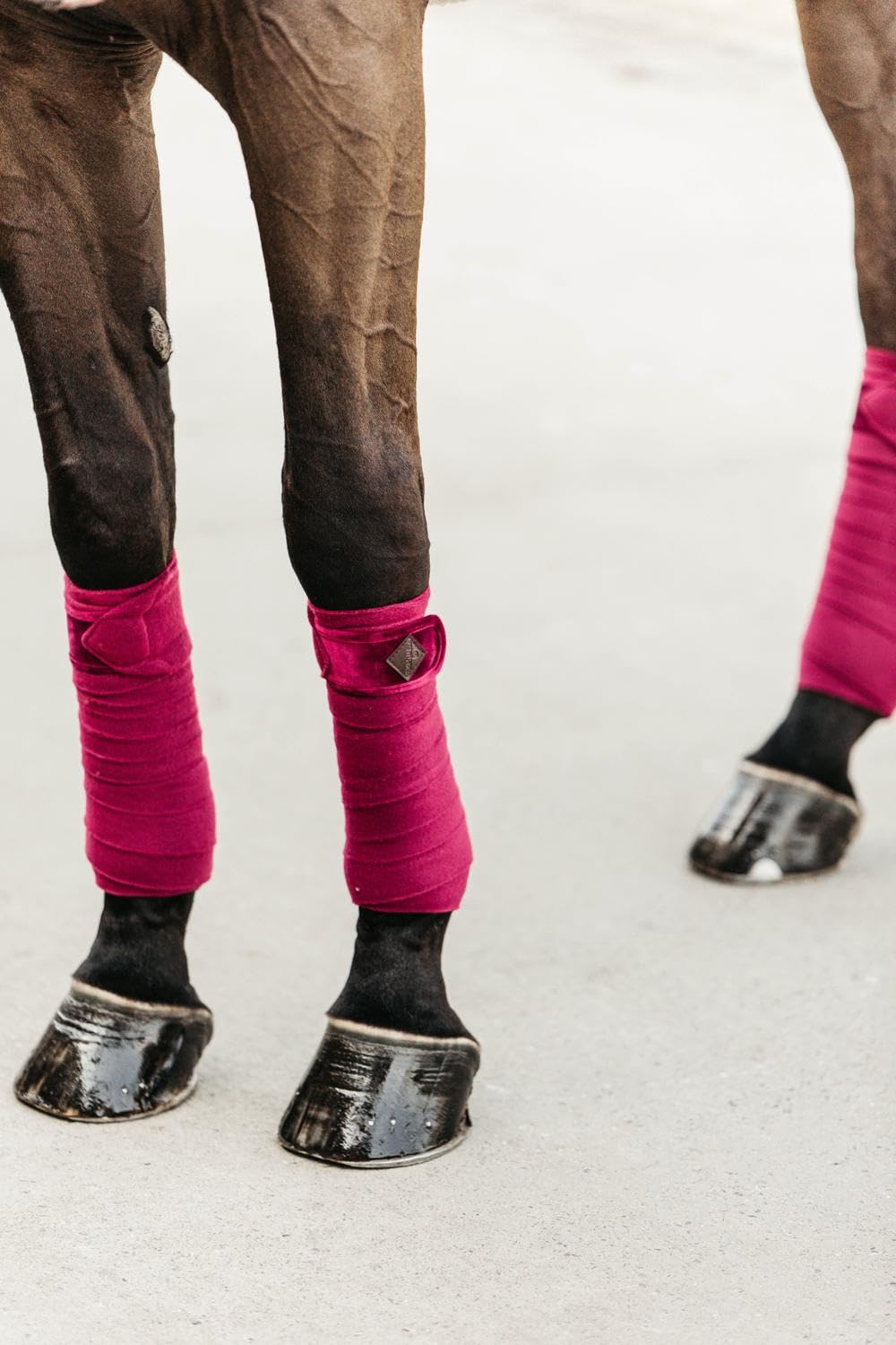 Kentucky Bandes de Polo pour Cheval Velvet