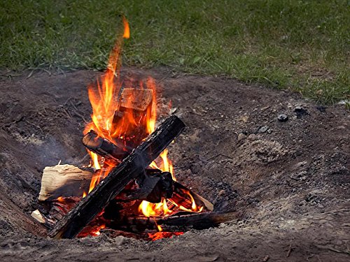 Image of Seasoned Firewood by Home /Kiln Dried Premium Oak Firewood /Hardwood, Kiln Dried firewood for Outdoor fire pits, Wood Burning stoves, and Campfires. Comes in 25LB Bundles