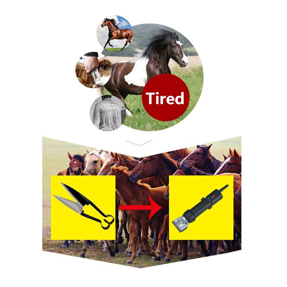690W Set De MáQuina De Esquilar EléCtrica para Caballos,Esquiladora Profesional 6 Velocidades Ajustables,Esquiladora Trasquilar Peladora,para Burro,Caballo,Green