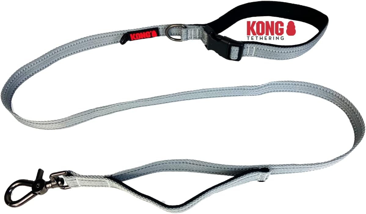 KONG Dog Leash 1.5 m Length for Medium Dogs up to 30 kg, Size M, Traffic Safety Leash, Reflective Leash with 2 Padded Straps and Heavy Duty Carabiner