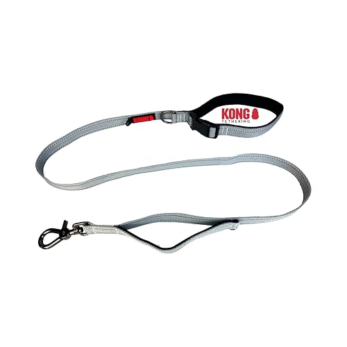KONG Correa para perros de 1,5 m de longitud, para perros medianos de hasta 30 kg, talla M