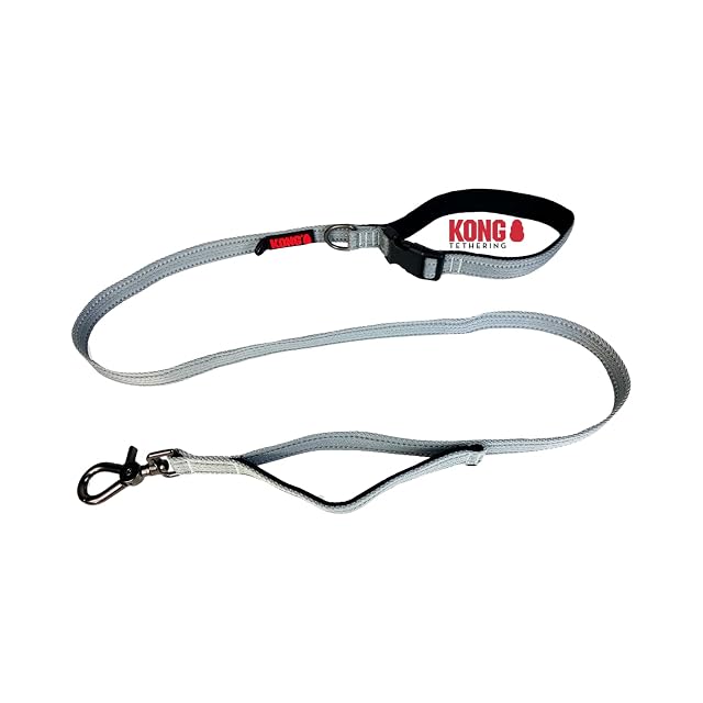 KONG Correa para perros de 1,5 m de longitud, para perros medianos de hasta 30 kg, talla M