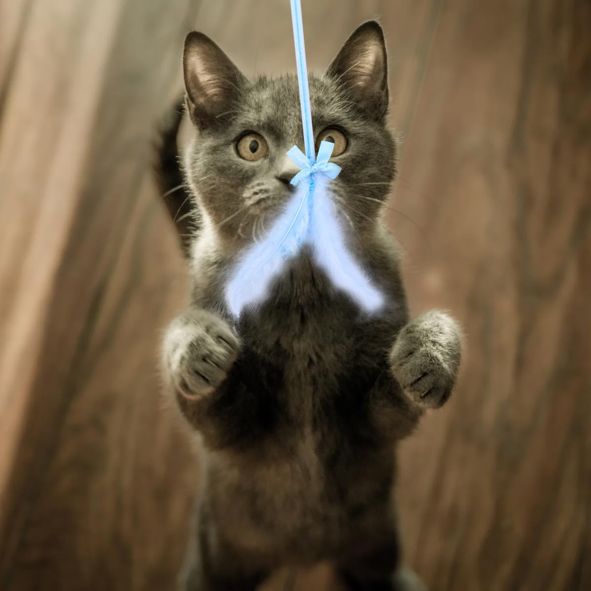 DOITOOL 9piezas Juguetes Interactivos para Gatos Pack Cat Teaser Diseño y Divertido Material para Mantener Tu Gato y Feliz