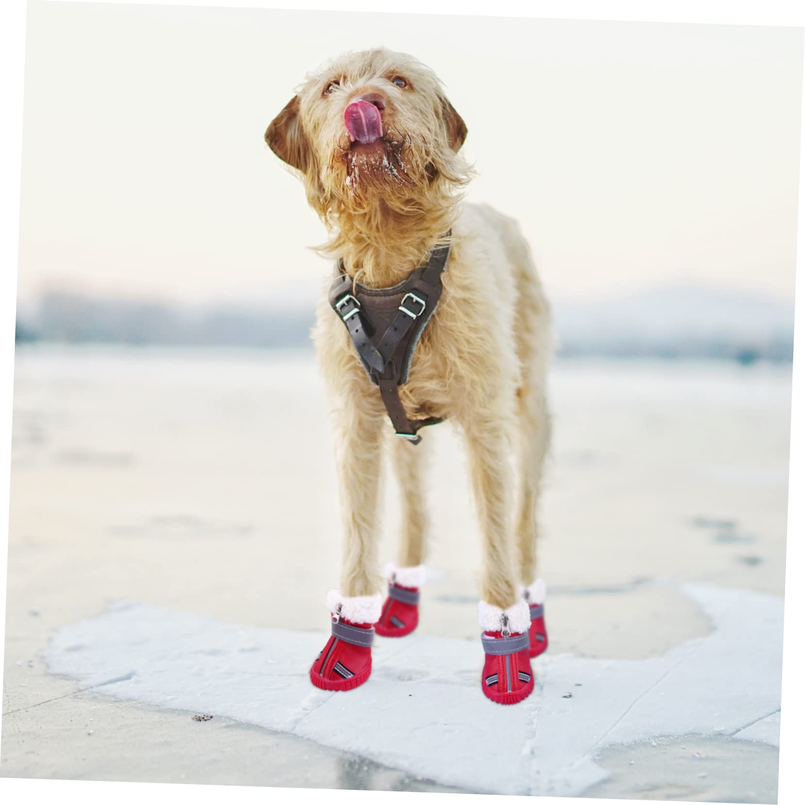 YARNOW 8 Pièces Chaussures de Automne Hiver Bottes pour Chiots pour Petits Chiens Chaussures Chihuahua Animal de Compagnie Protecteur de Patte de protecteurs de Pattes Animaux