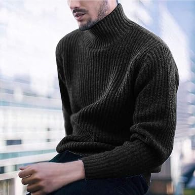 Bottom Slim Turtleneck Sweater 