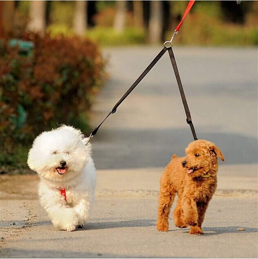 Basic Leashes 2pcs Nylon Dog Leash Double Walking Leashes Couple 2 Way V Shape Collar Lead Leashes for 2 Dogs Puppy Pet Accessories for Pet